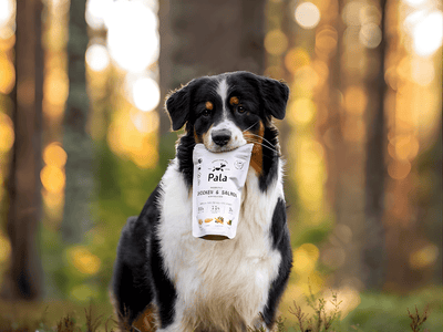 Pala Recipe 2 lufttørket råfôr av kylling og norsk laks - Hundepappa