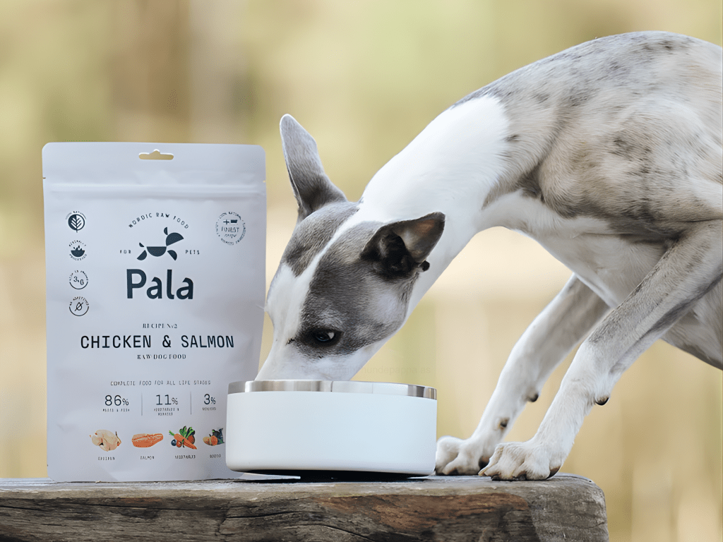 Pala Recipe 2 lufttørket råfôr av kylling og norsk laks - Hundepappa