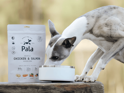 Pala Recipe 2 lufttørket råfôr av kylling og norsk laks - Hundepappa