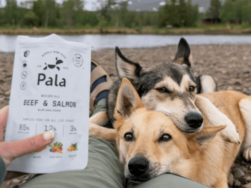 Pala Recipe 3 lufttørket råfôr av storfe og norsk laks - Hundepappa