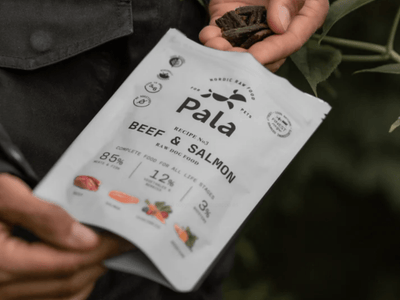 Pala Recipe 3 lufttørket råfôr av storfe og norsk laks - Hundepappa