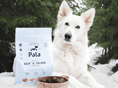 Pala Recipe 3 lufttørket råfôr av storfe og norsk laks - Hundepappa