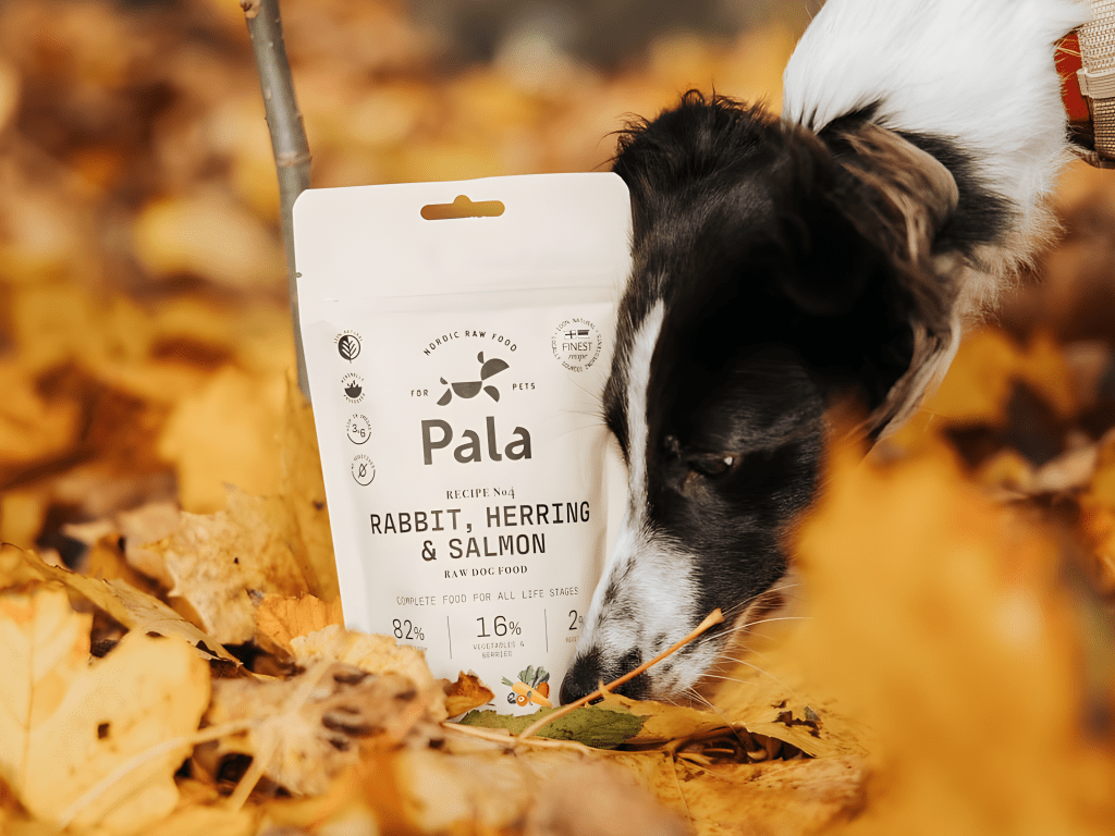 Pala Recipe 4 lufttørket råfôr av kanin, norsk sild og laks - Hundepappa