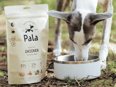 Pala Recipe 5 lufttørket råfôr av kylling - Hundepappa