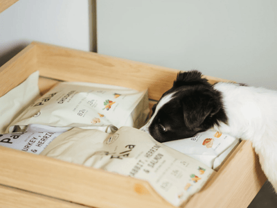 Pala Recipe 7 lufttørket råfôr av lam og norsk sild - Hundepappa
