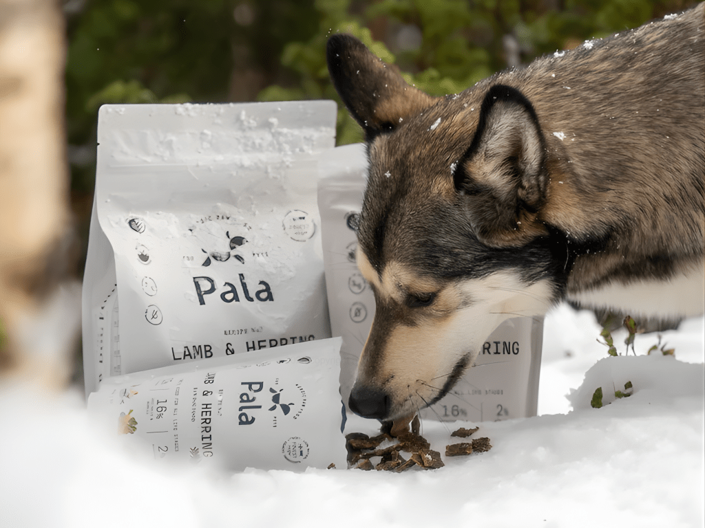 Pala Recipe 7 lufttørket råfôr av lam og norsk sild - Hundepappa