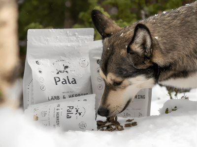 Pala Recipe 7 lufttørket råfôr av lam og norsk sild - Hundepappa