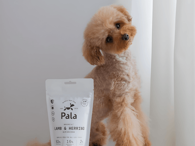 Pala Recipe 7 lufttørket råfôr av lam og norsk sild - Hundepappa