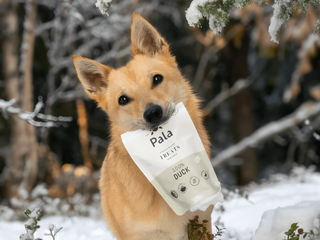 Pala Treats lufttørkede godbiter av and - Hundepappa