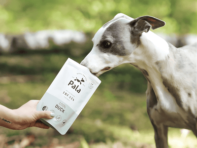 Pala Treats lufttørkede godbiter av and - Hundepappa