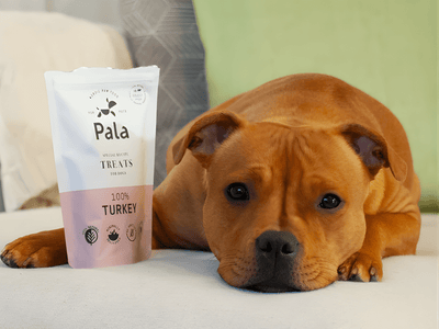 Pala Treats lufttørkede godbiter av kalkun - Hundepappa