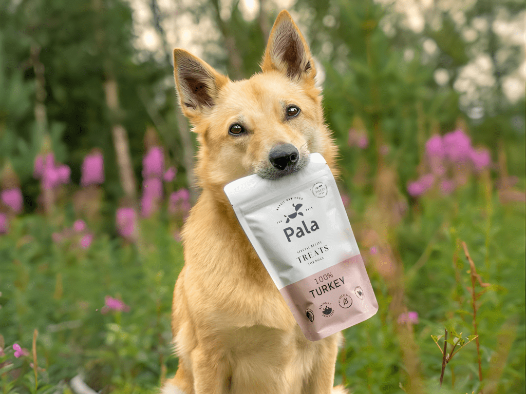 Pala Treats lufttørkede godbiter av kalkun - Hundepappa