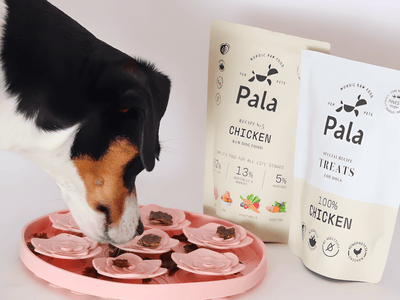 Pala Treats lufttørkede godbiter av kylling - Hundepappa
