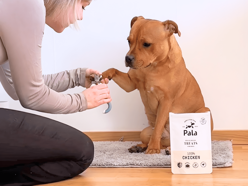 Pala Treats lufttørkede godbiter av kylling - Hundepappa