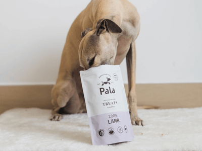 Pala Treats lufttørkede godbiter av lam - Hundepappa