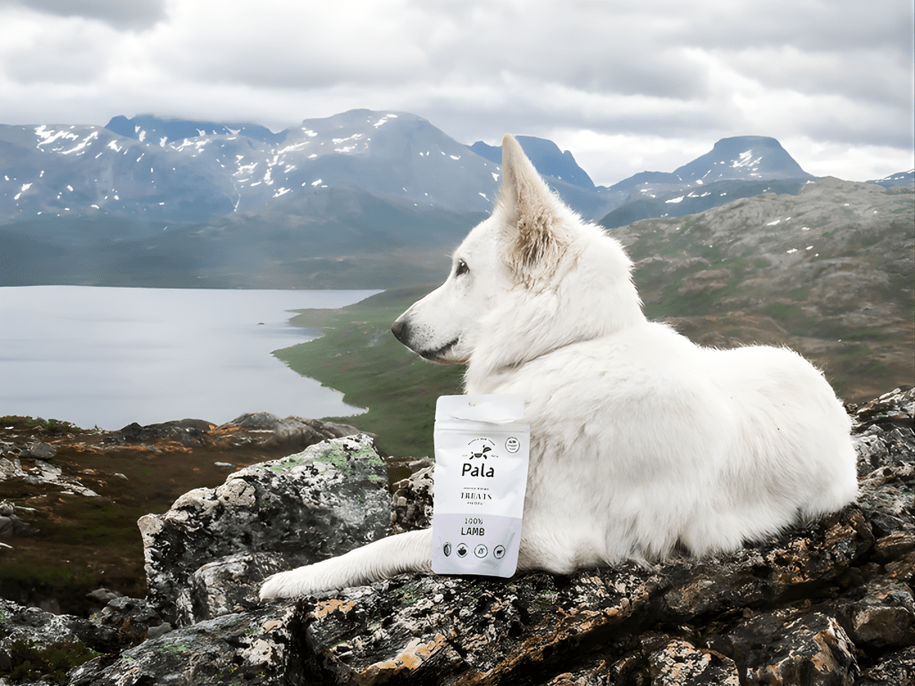 Pala Treats lufttørkede godbiter av lam - Hundepappa