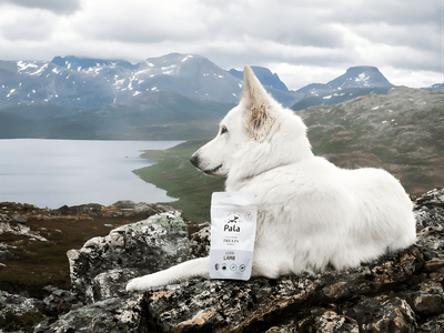 Pala Treats lufttørkede godbiter av lam - Hundepappa