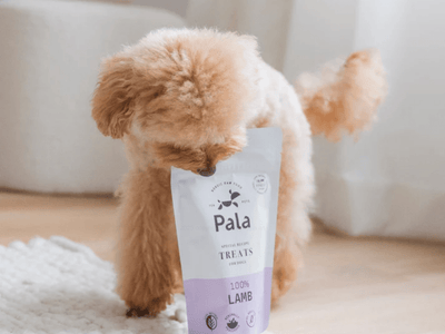 Pala Treats lufttørkede godbiter av lam - Hundepappa