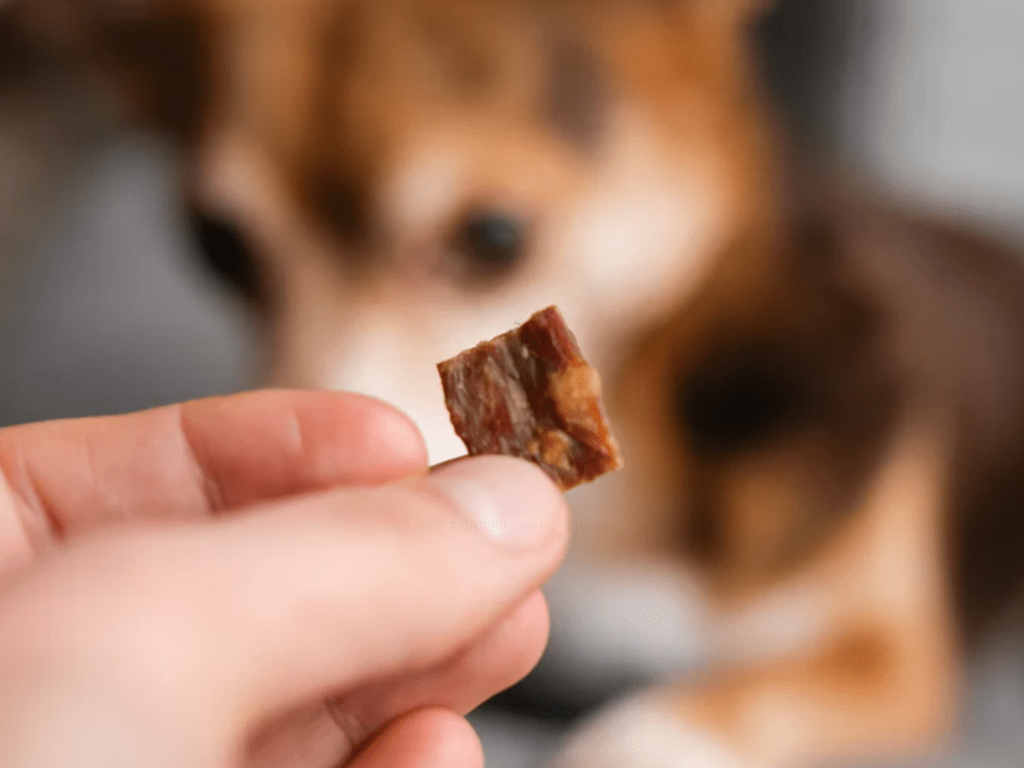 Pala Treats lufttørkede godbiter av storfelever - Hundepappa
