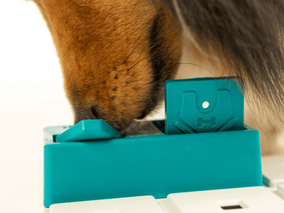 Pawzler Nai aktiviseringsmodul med 2 felt – nivå 2 - Hundepappa