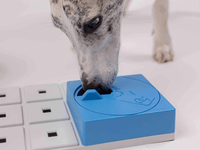 Pawzler Oli aktiviseringsmodul med 4 felt – nivå 1 - Hundepappa