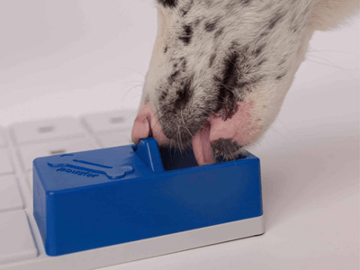 Pawzler Onix aktiviseringsmodul med 2 felt – nivå 1 - Hundepappa