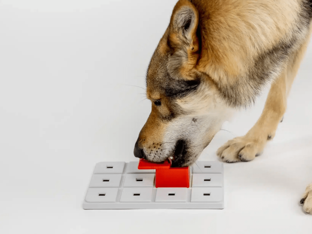 Pawzler Peach aktiviseringsmodul med 1 felt – nivå 2 - Hundepappa