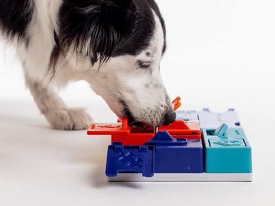 Pawzler sett for eksperter med 8 deler – nivå 3 - Hundepappa