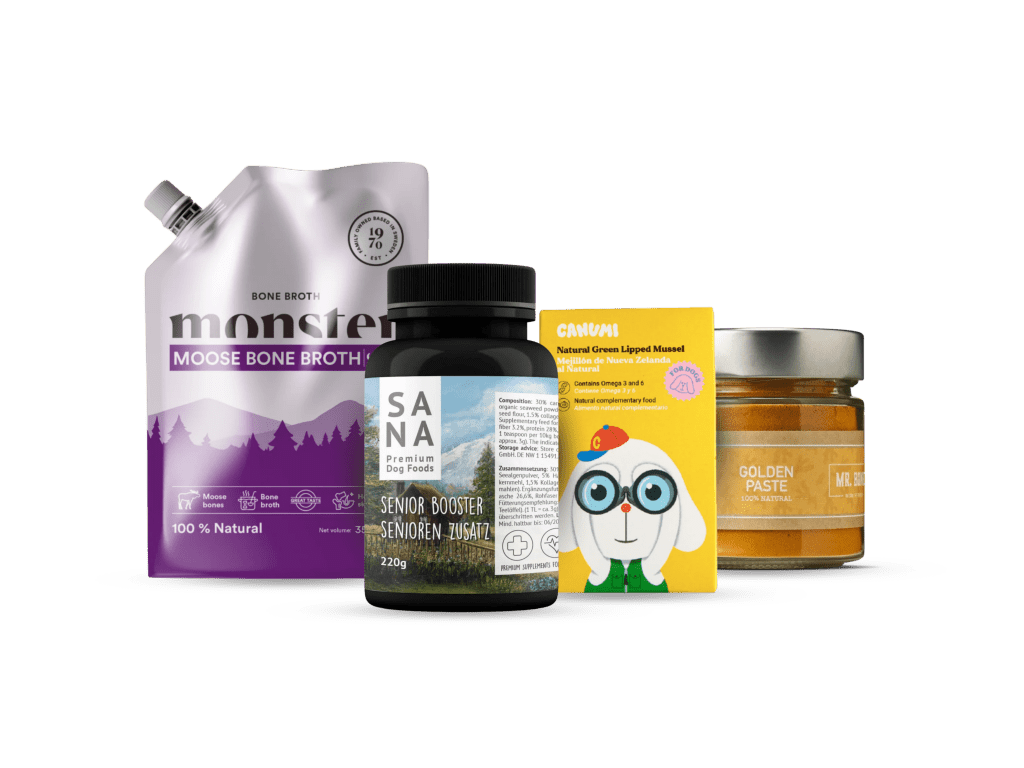 Seniorpakke for leddhelse og livsglede - Hundepappa