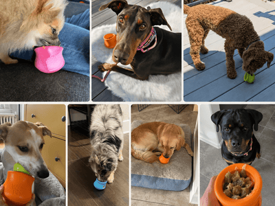 West Paw Toppl - Hundepappa