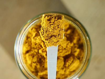 Mr. Bones golden paste 100 g - Hundepappa