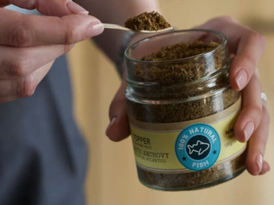 Mr. Bones krydder av ansjos 100 g - Hundepappa