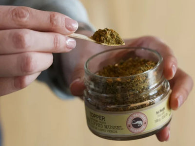 Mr. Bones krydder av grønnleppemusling 100 g - Hundepappa