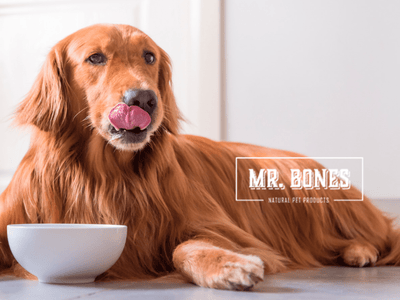 Mr. Bones prøvepose av lufttørket råfôr - Hundepappa