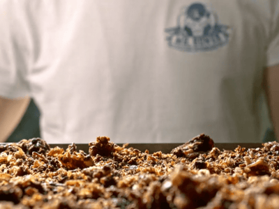 Mr. Bones prøvepose av lufttørket råfôr - Hundepappa