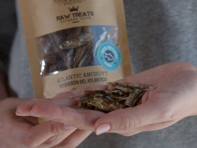 Mr. Bones Raw Treats godbiter av ansjos 45 g - Hundepappa