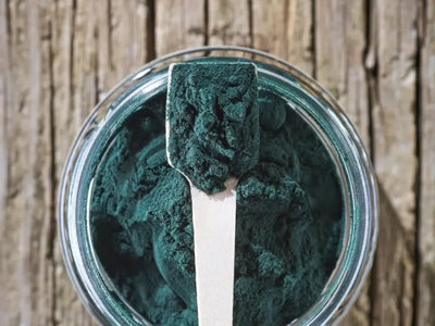 Mr. Bones spirulinapulver 70 g - Hundepappa