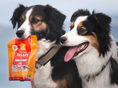 Mush Freeze - Dried Treats frysetørkede godbiter av storfe - Hundepappa