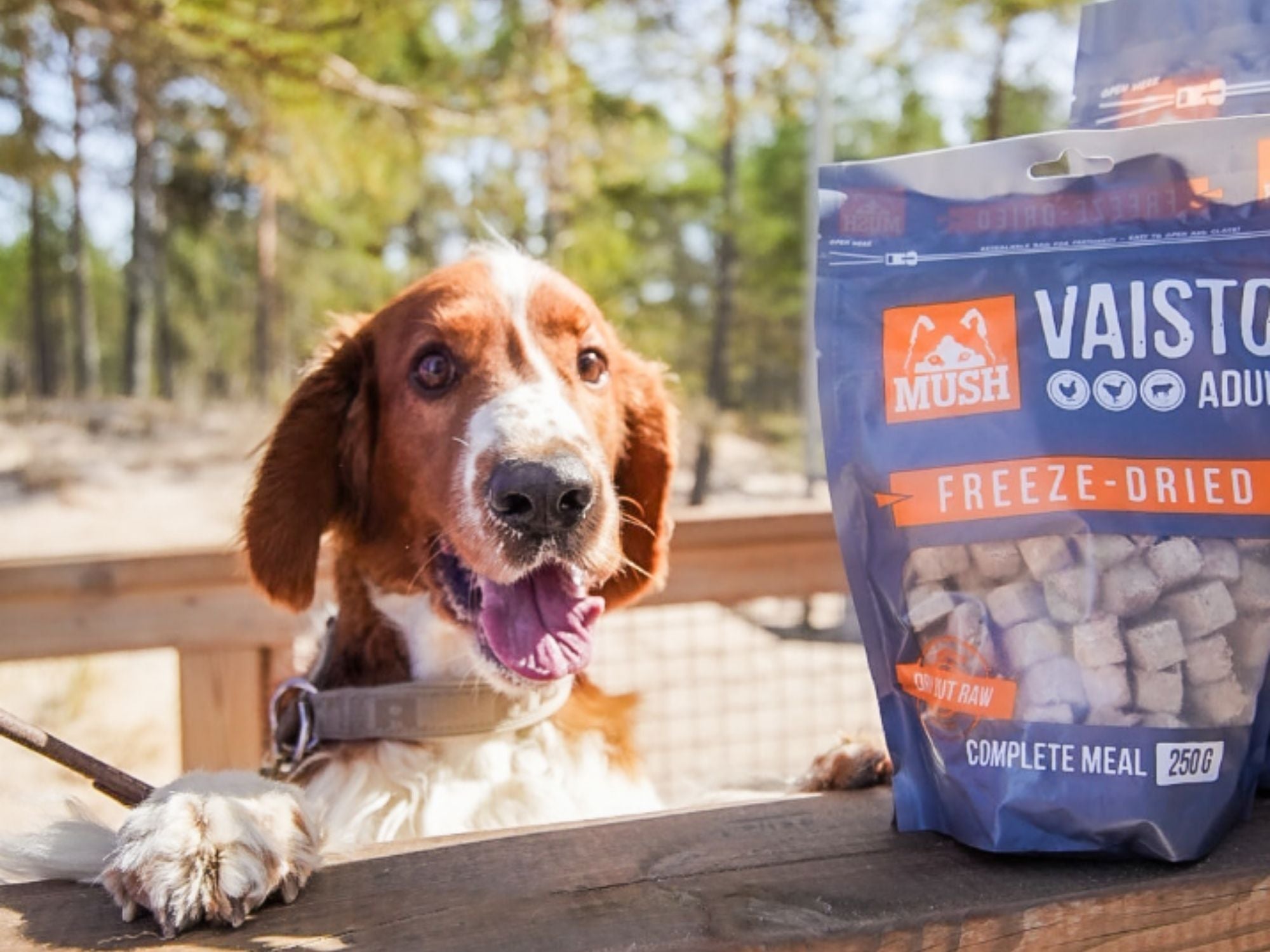 Mush Vaisto Grå frysetørket råfôr av kylling, kalkun og lam - Hundepappa