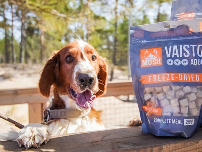Mush Vaisto Grå frysetørket råfôr av kylling, kalkun og lam - Hundepappa