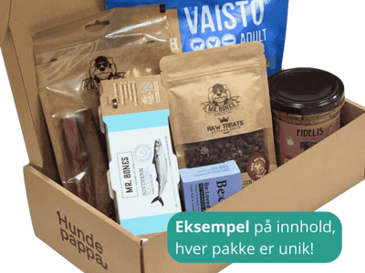 Mysteriepakke - Hundepappa