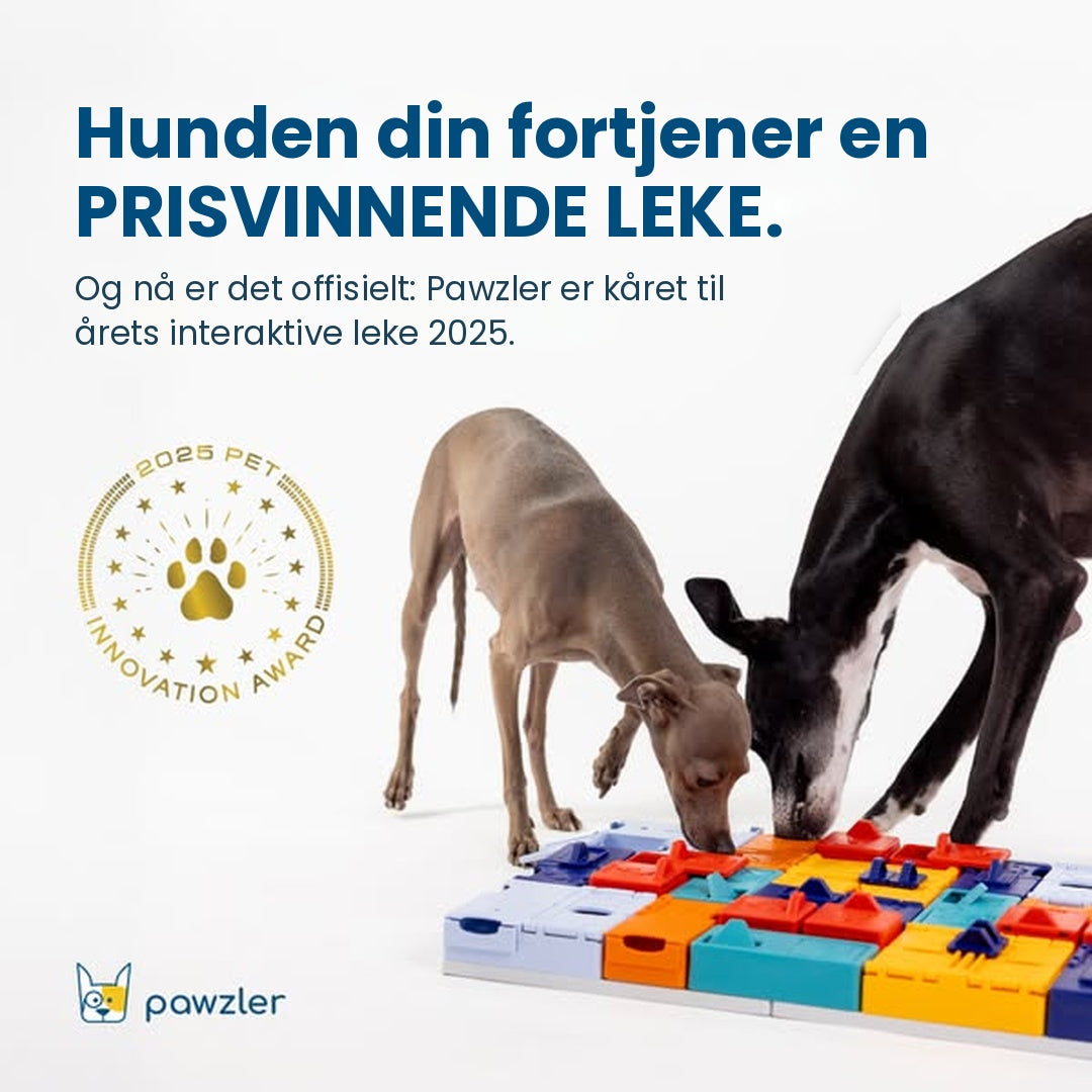 Hunden din fortjener en prisvinnende leke. Pawzler er kåret til årets interaktive leke 2025.