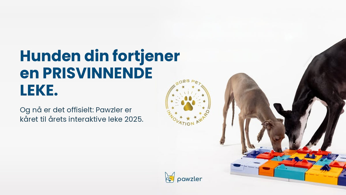 Hunden din fortjener en prisvinnende leke. Pawzler er kåret til årets interaktive leke 2025.