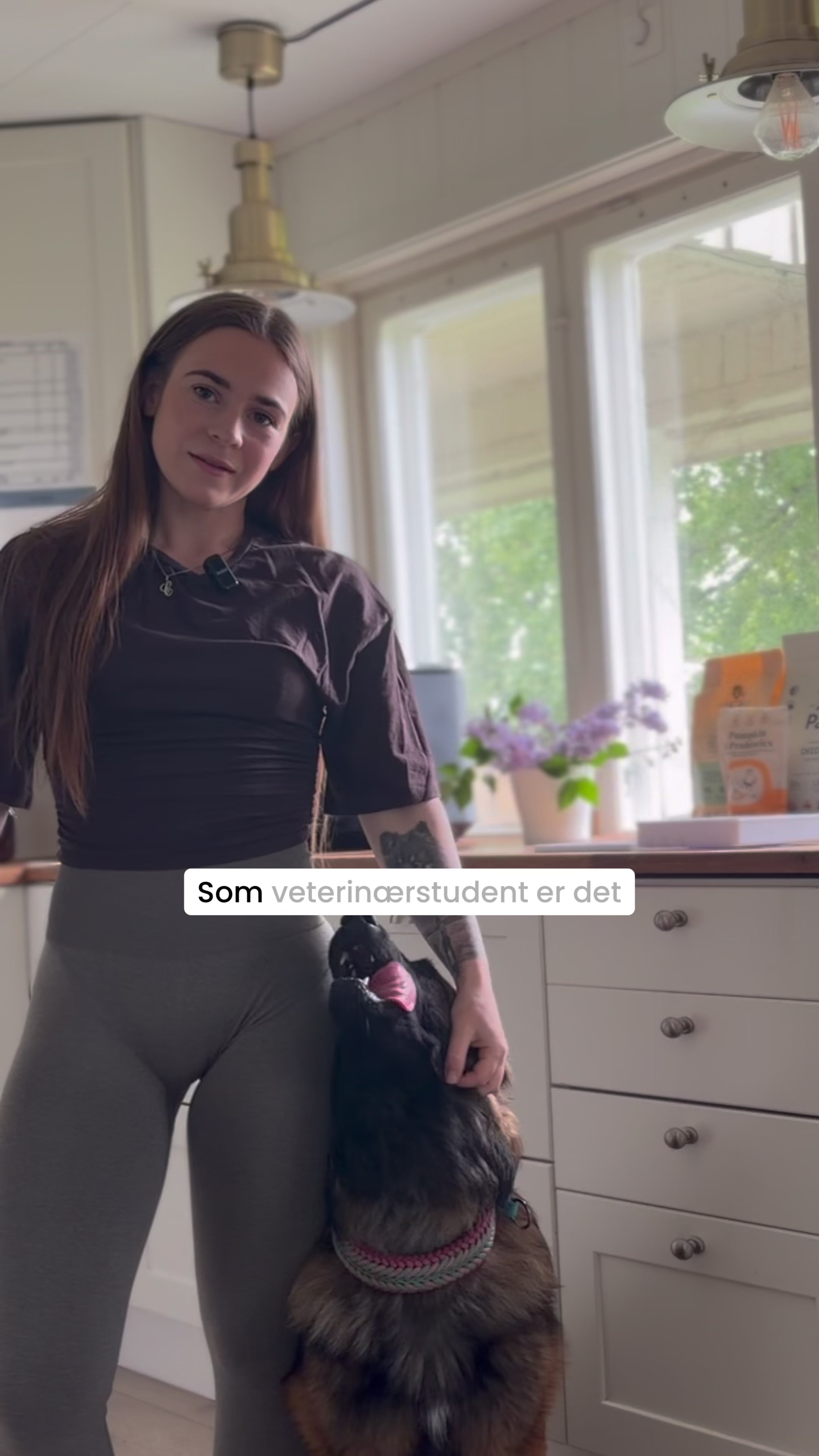 Last inn video: 
