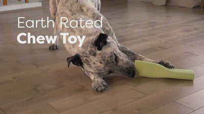 Earth Rated Chew Toy godbitholder i naturlig gummi