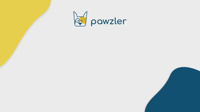 Pawzler labyrint sett med 24 deler – nivå 3